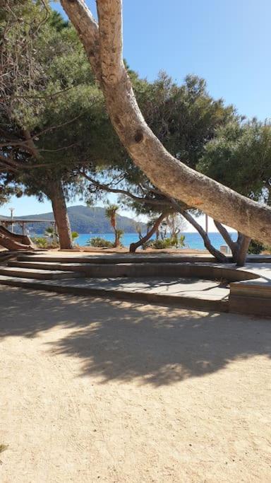Castel Du Soleil, Bord De Mer, 4 Pers Saint-Cyr-sur-Mer Eksteriør billede